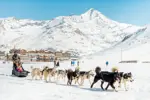 Tignes-Tarentaise-Dog sledding (©andyparant).webp