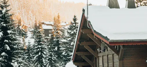 Chalet Adelphine