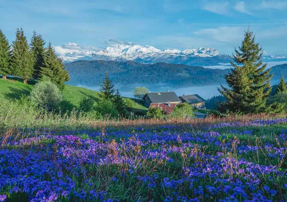 Les Gets view of Mont Blanc (©Mel_Carle).webp