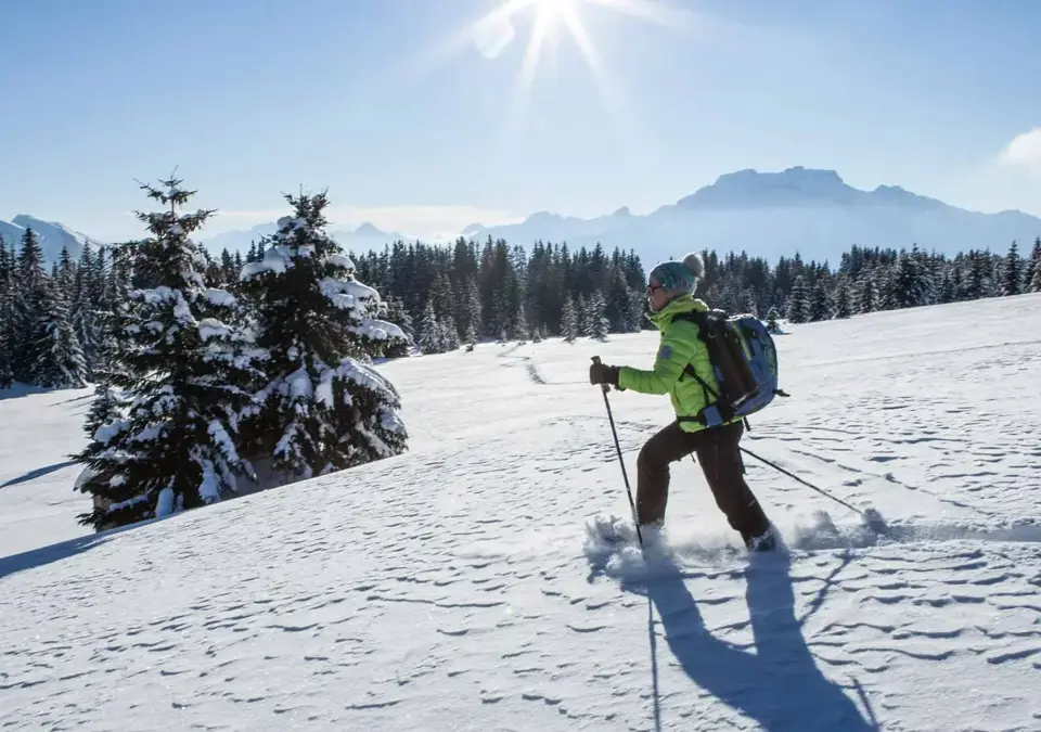 Manigod snowshoeing (3).webp