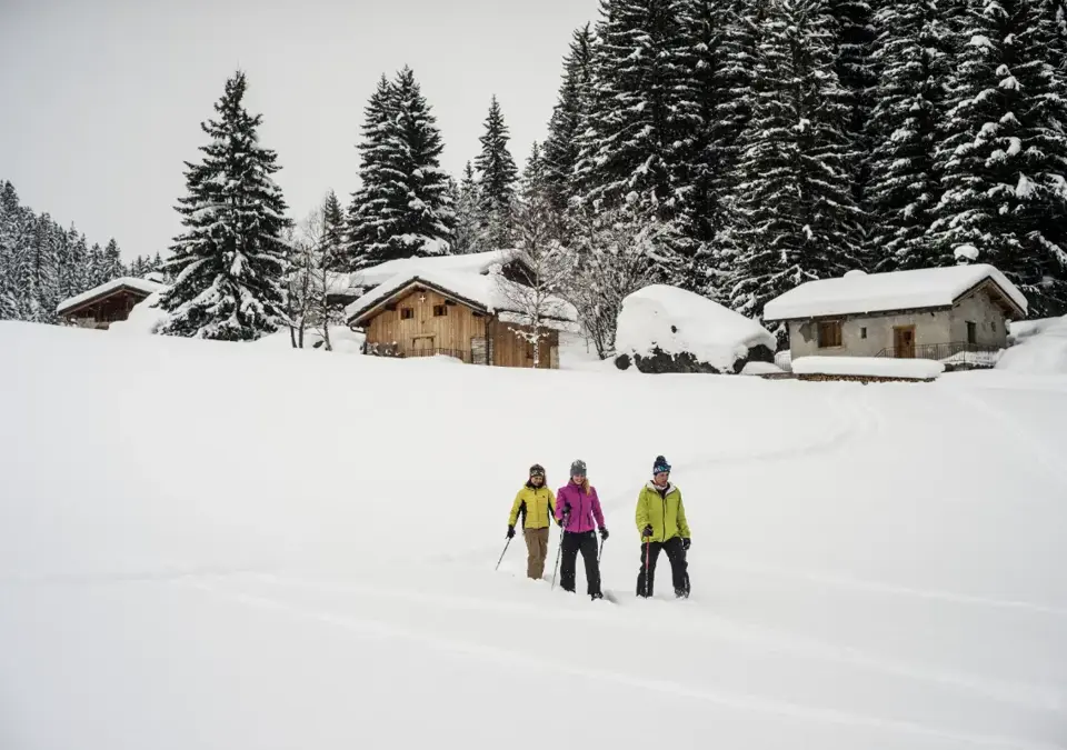 Snowshoeing ©Guillaume-Grasset-Office-de-Tourisme-de-Pralognan-la-Vanoise (3).webp