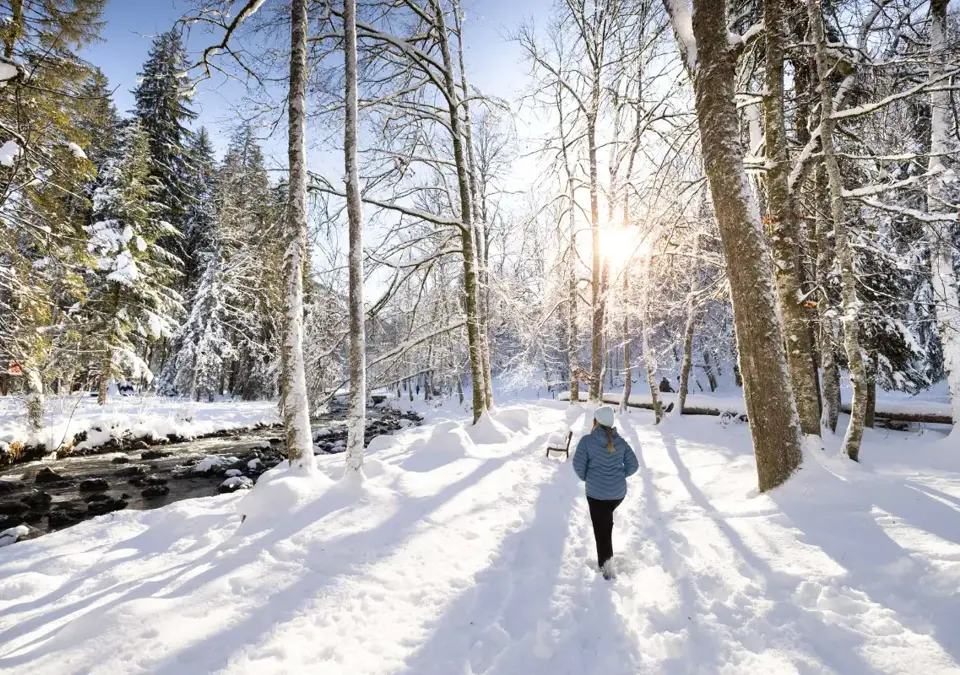 Avoriaz walks (3).webp