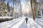 Avoriaz walks (3).webp
