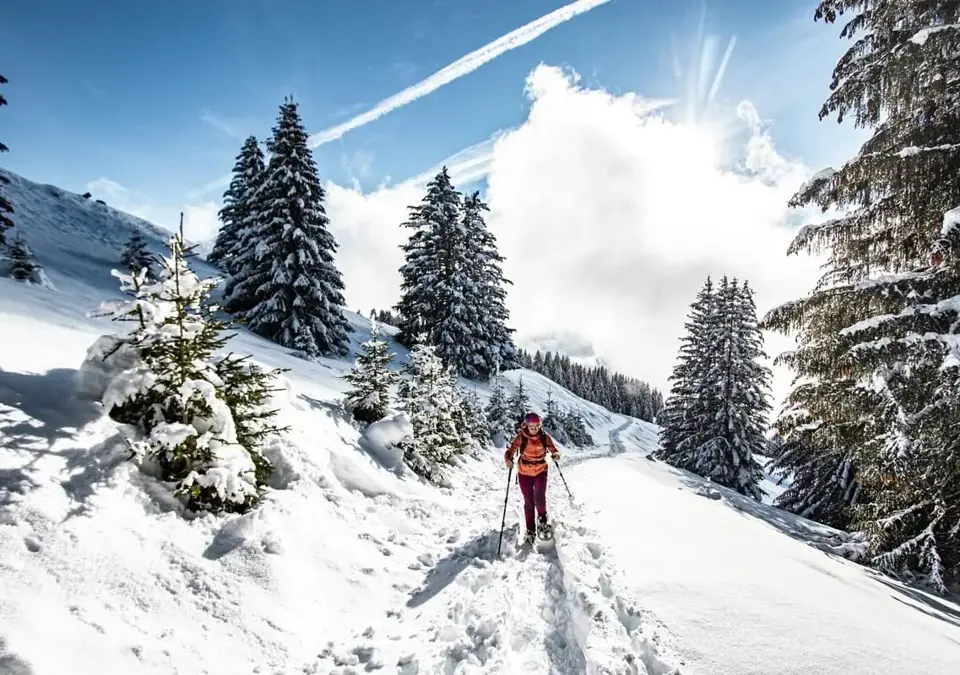 chatel-l-meyer-snow shoeing.webp
