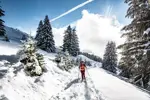 chatel-l-meyer-snow shoeing.webp