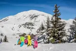 Auris en Oisans -Ski slopes (1).webp