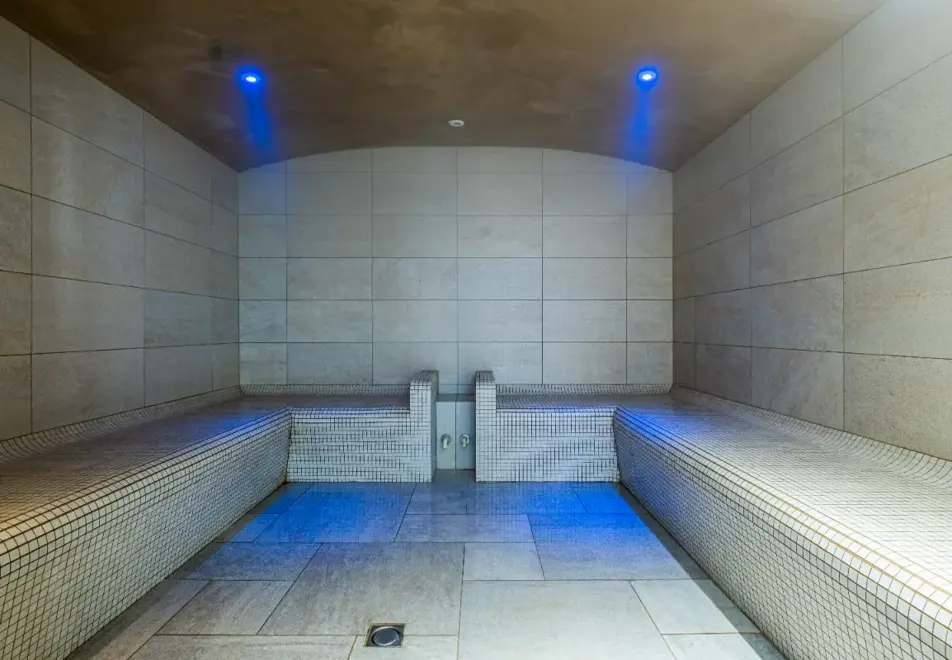 Les Terrasses de Helios, Flaine (self catered apartments) - Steam room