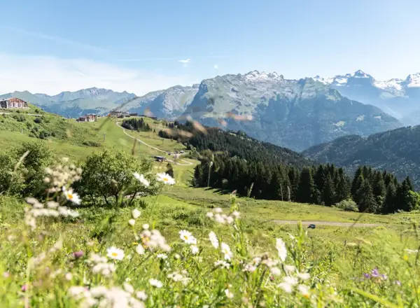 Samoens, Grand Massif (©MathildaManzi)