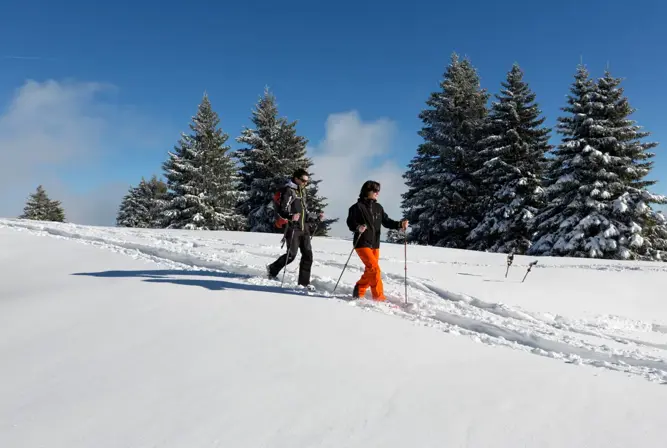 Lake Annecy-Semnoz (DominiqueLafon) (5).webp