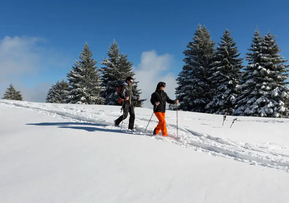 Lake Annecy-Semnoz (DominiqueLafon) (5).webp