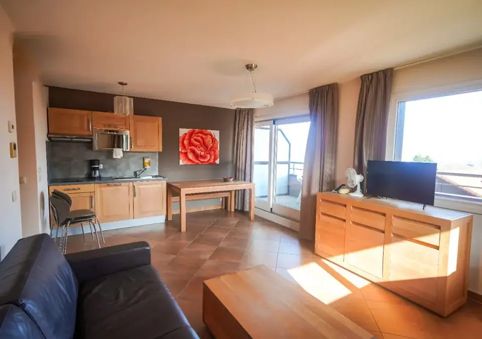 Les Chataigniers-Annecy-1 bed.webp