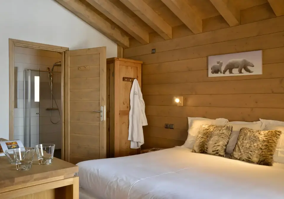 Carlina apatments-Belle Plagne-Typical apartments (4).webp