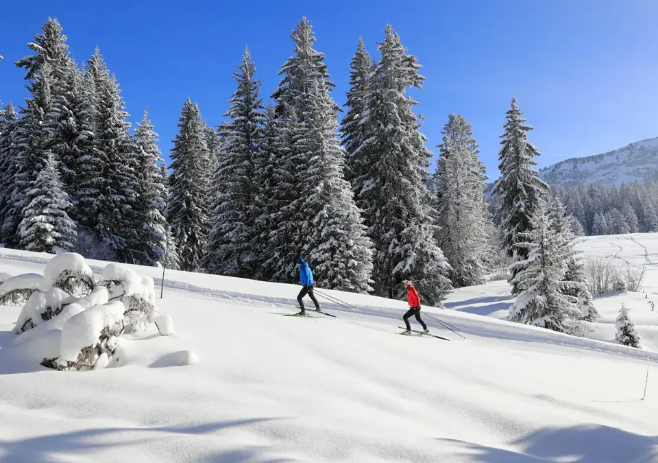 Lake Annecy-Semnoz-Cross country (MonicaDalmasso).webp