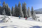 Lake Annecy-Semnoz-Cross country (MonicaDalmasso).webp