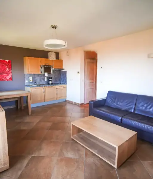 Les Chataigniers, Annecy (self catered apartments) - Typical 2 bed apartment