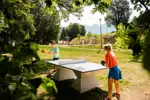 Le Grand Bornand table tennis.webp