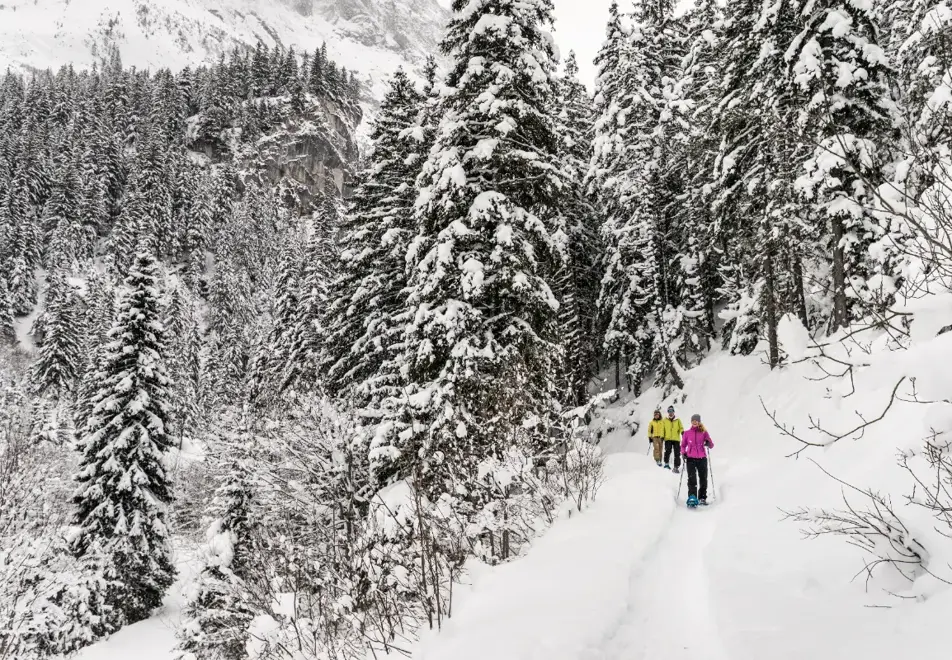 Pralognan-la-Vanoise - Snowshoeing (©Guillaume Grasset)