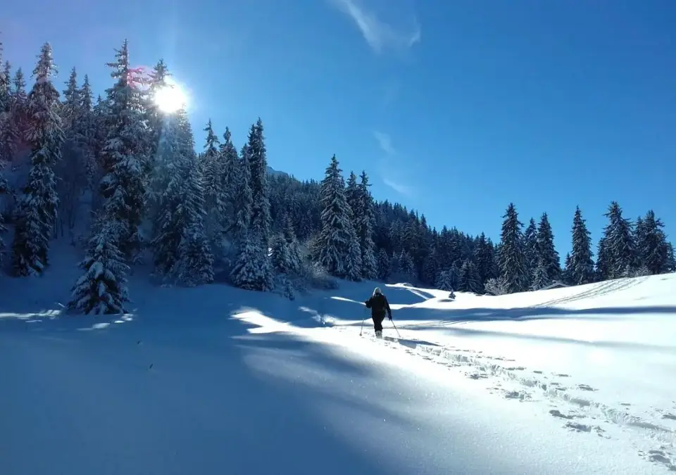 Valmorel snowshoeing (Florent-Espagnac).webp