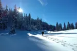 Valmorel snowshoeing (Florent-Espagnac).webp