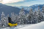 La Rosiere luge mountain coaster.webp