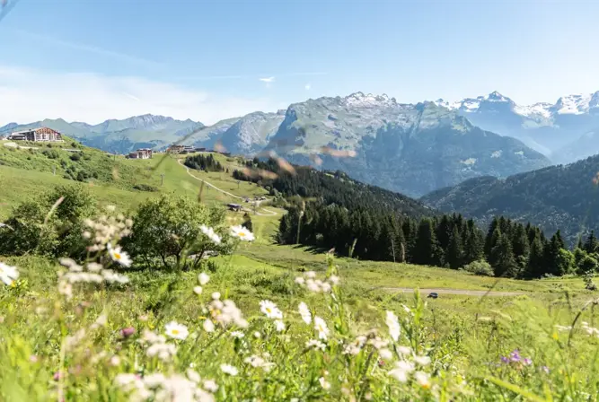 Samoens-Grand Massif (mathildamanziOTsamoens) (2).webp