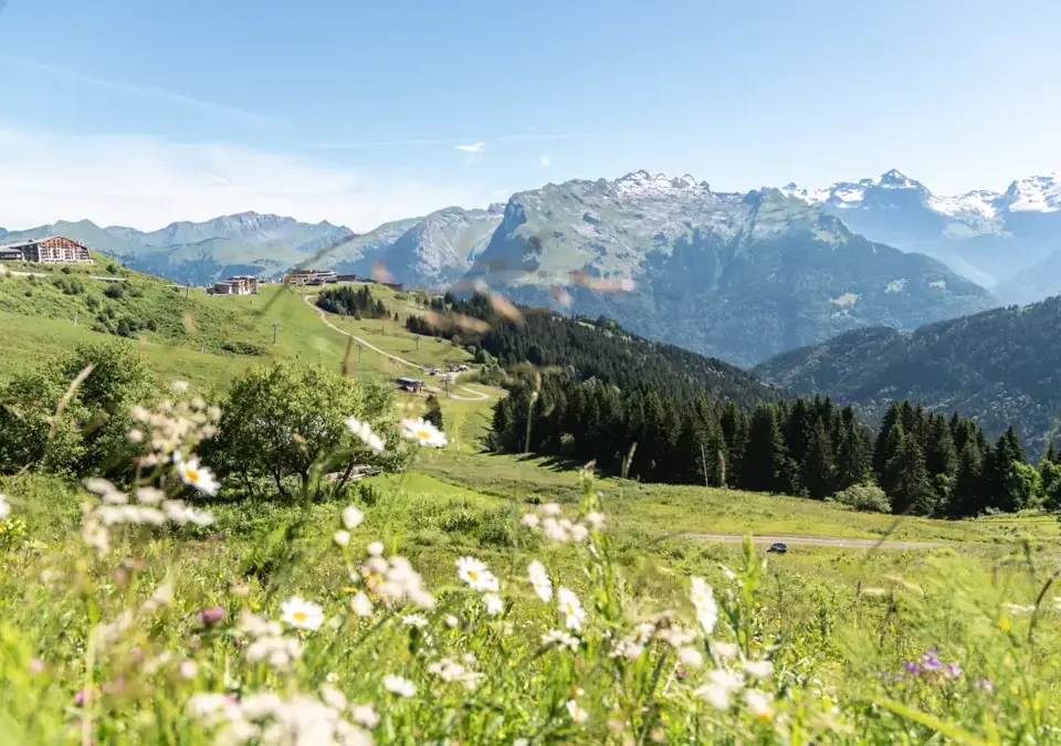 Samoens-Grand Massif (mathildamanziOTsamoens) (2).webp