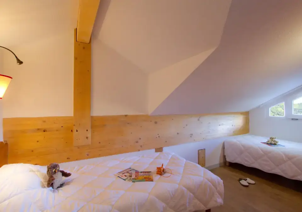 l'Ours Blanc-Les Deux Alpes-Typical apartment (9).webp
