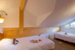 l'Ours Blanc-Les Deux Alpes-Typical apartment (9).webp