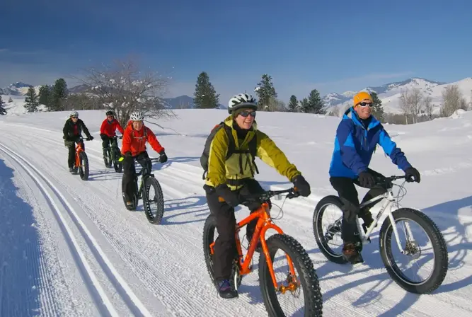 Morzine fat bike.webp