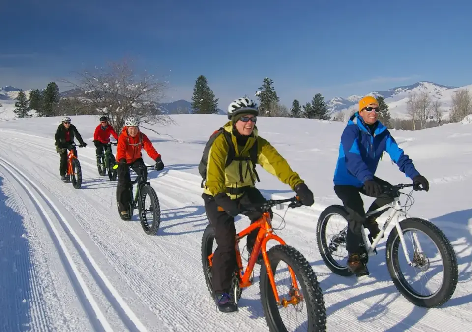 Morzine fat bike.webp