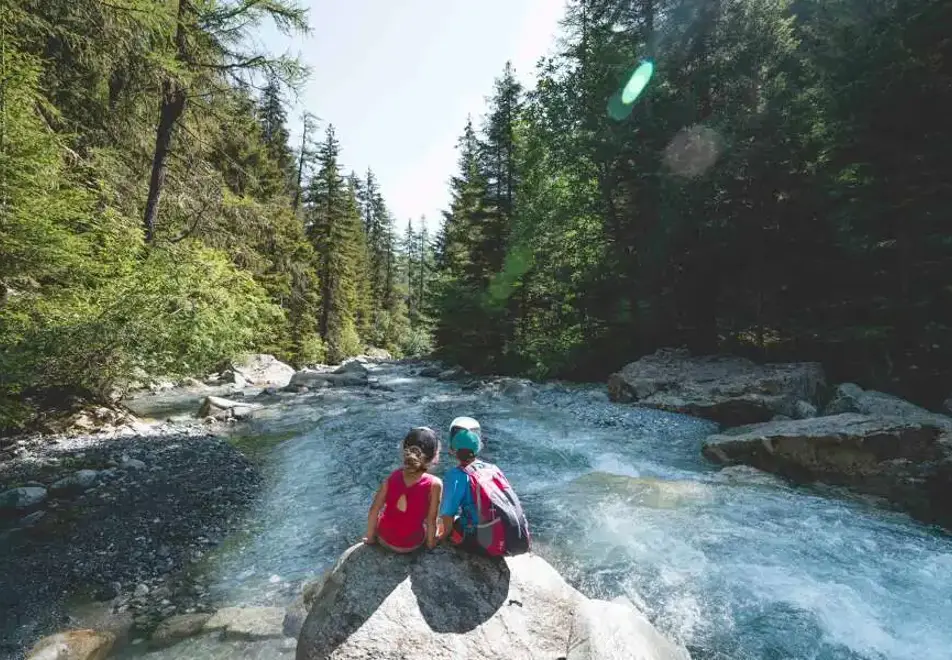 Summer in Vallorcine