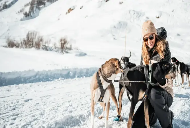 Val d'Isere dog sledding.webp