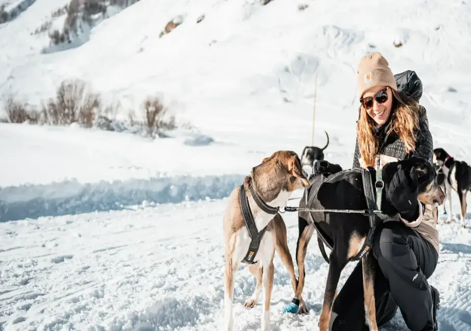 Val d'Isere dog sledding.webp