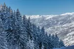 Les Arcs treelined slopes (©Raj Bundhoo).webp
