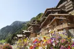 SUMMER-Le Village de Lessy-Le Grand Bornand (1).webp