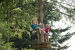 Le Grand Bornand La Foret des Dodes.webp