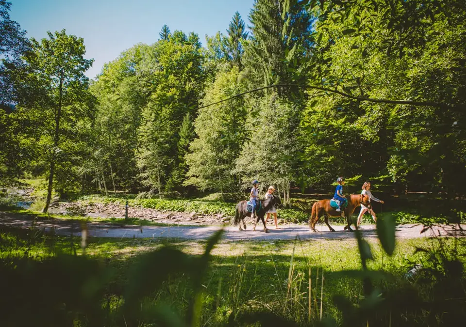 Morzine horse riding (©sam_ingles).webp