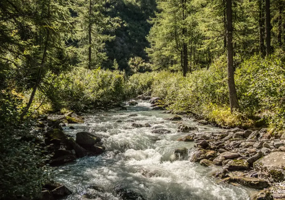 La Rosiere nature.webp