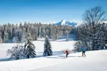 Villard de Lans nordic skiing.webp
