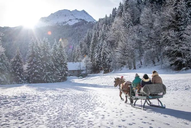 Les Contamines horse drawn sled.webp