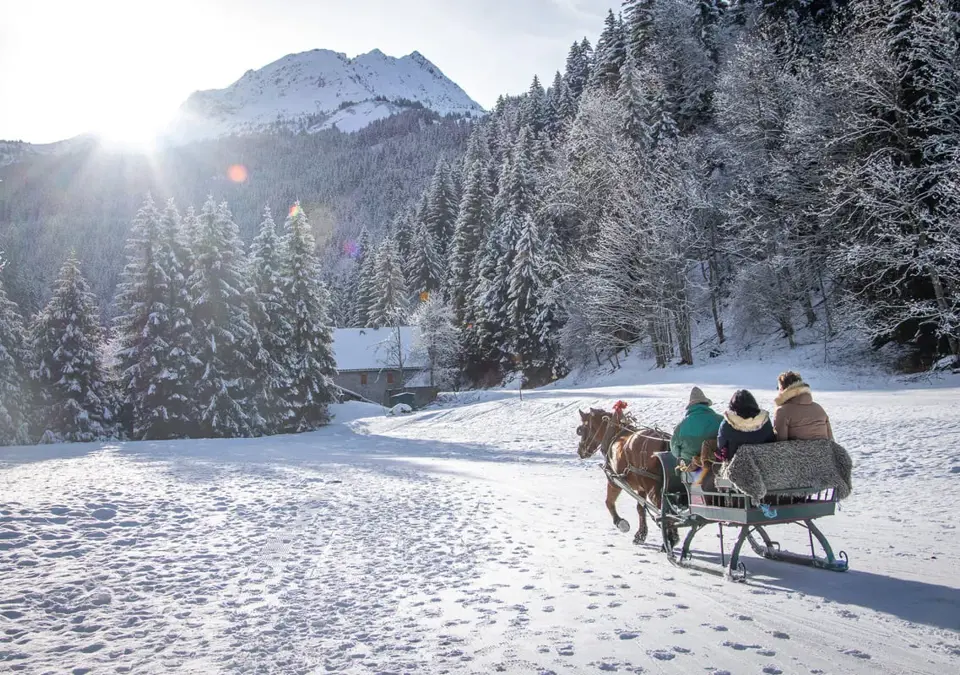 Les Contamines horse drawn sled.webp