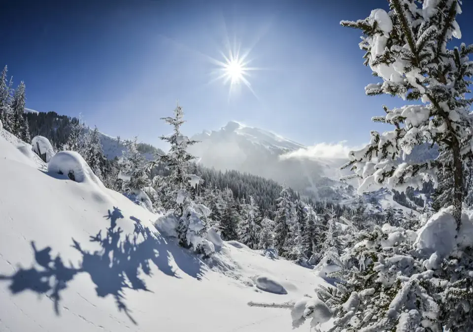 La Clusaz mountains (©david machet).webp