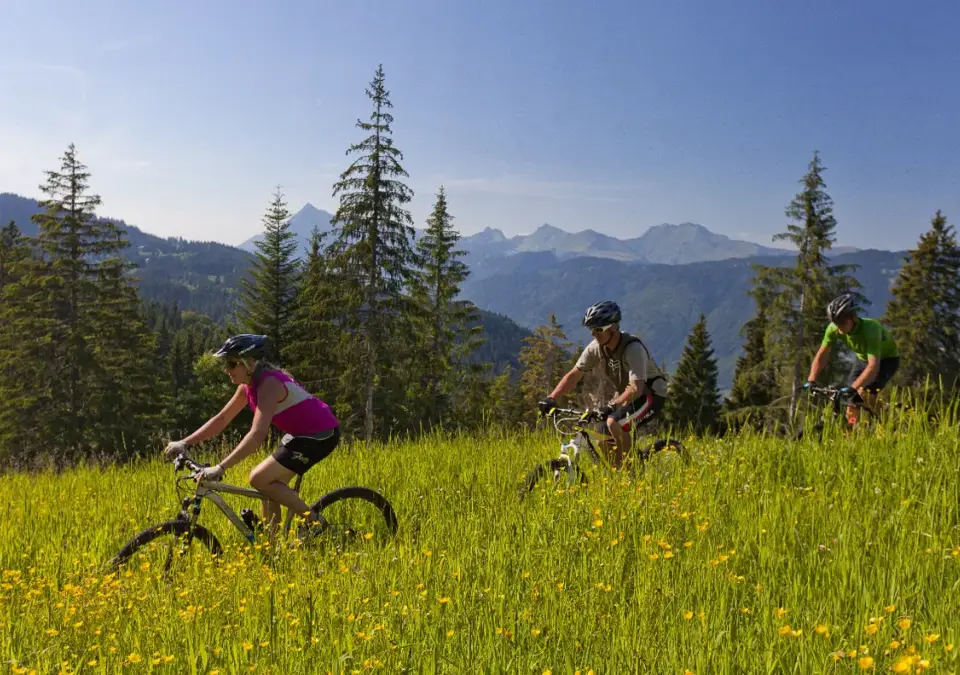 Samoens-Grand Massif-Mountain biking.webp