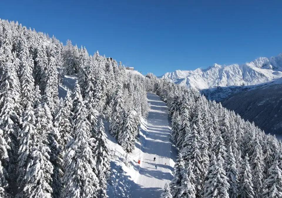Chamonix-Flegere skiing (©Benjamin_FRISON).webp