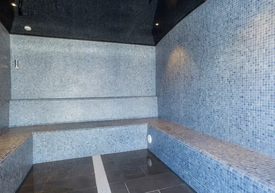 Alparena-La Rosiere-Steam room (©manureyboz).webp