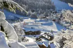 Les Carroz d'Araches magic carpets (Bouilleurdephoto).webp