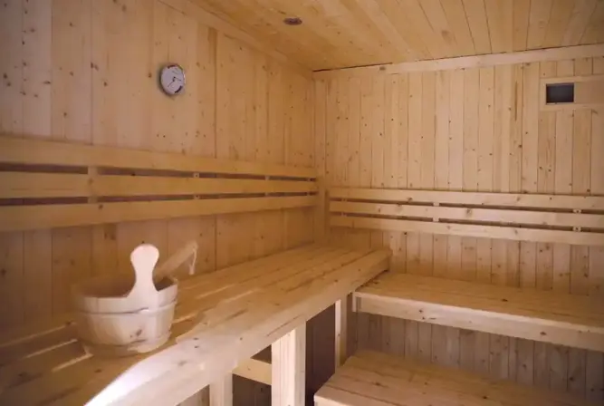 Alpeggio-Les Deux Alpes-Sauna.webp