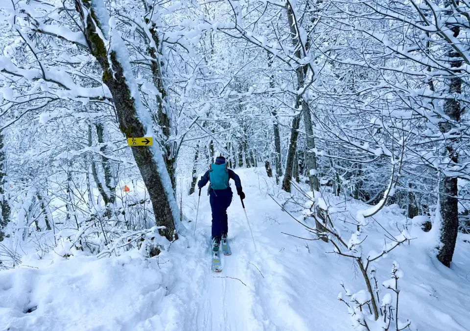 Les Houches-Mont Blanc-Ski touring.webp