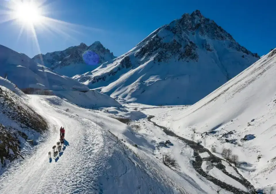 Valloire dog sledding.webp