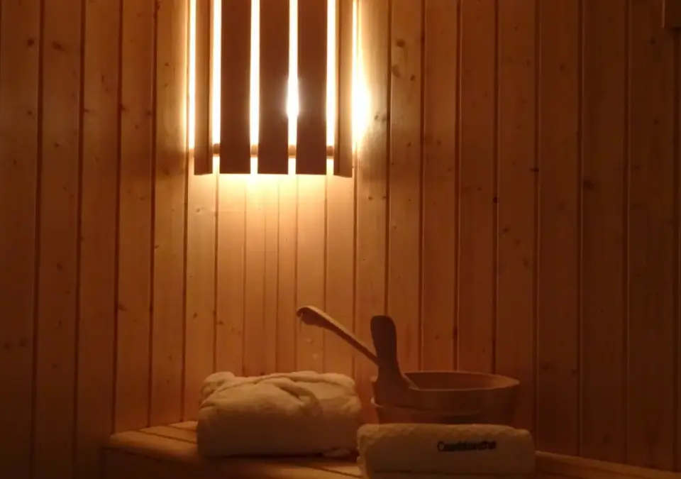 Ibis Viperae apt-Caseblanche-St Martin (10).webp